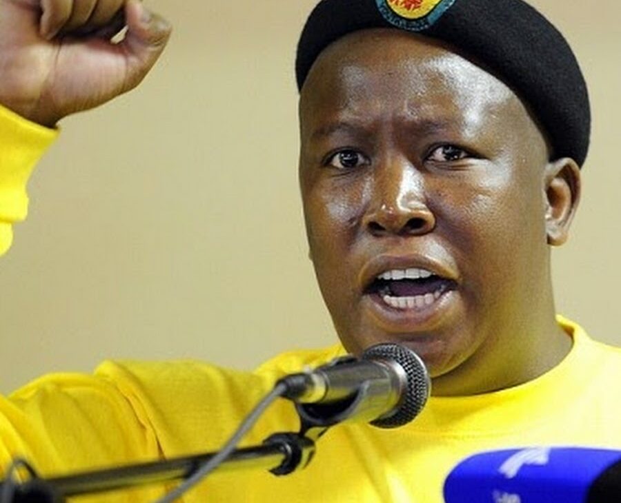 malema1